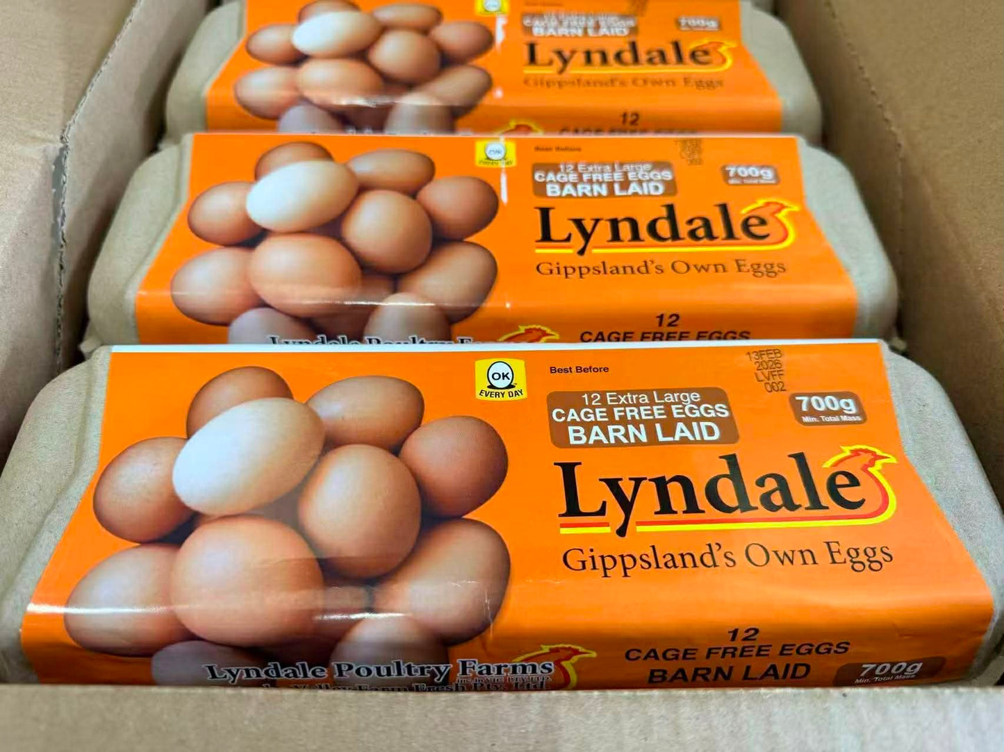 cage free egg XL 700g