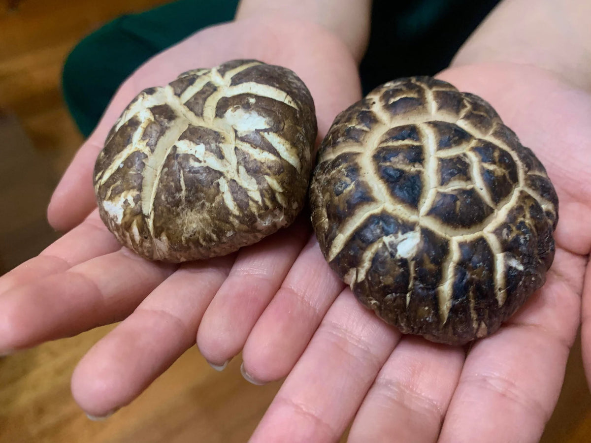 日本 頂級花菇 300g Shiitake Mushroom
