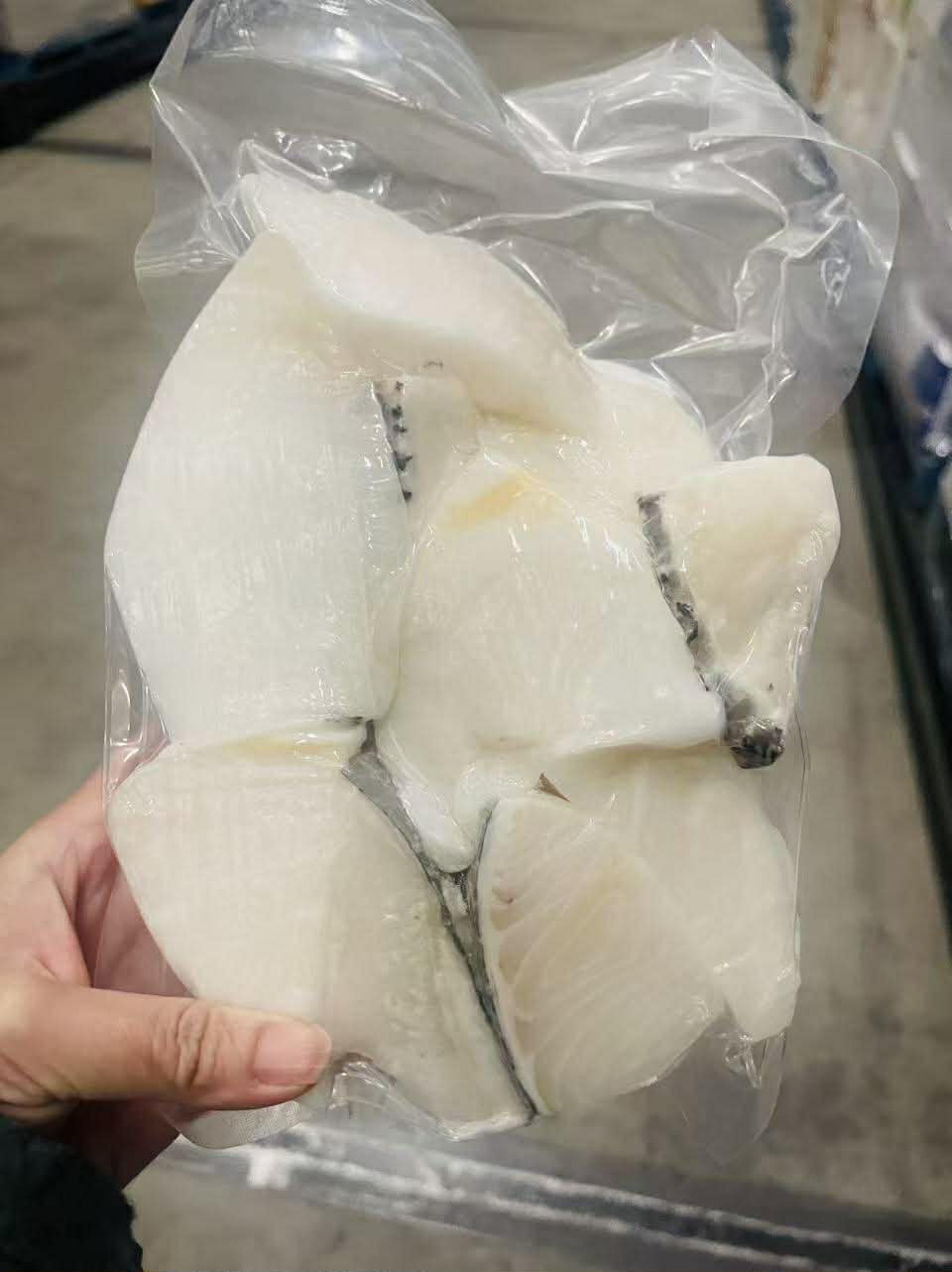 patagonian Tooth Fish portion 40/70 500g